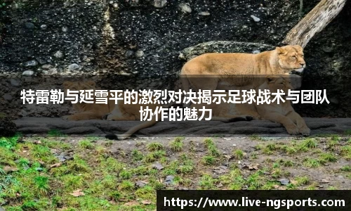 南宫体育